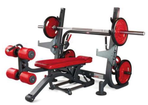 Olympic multi bench