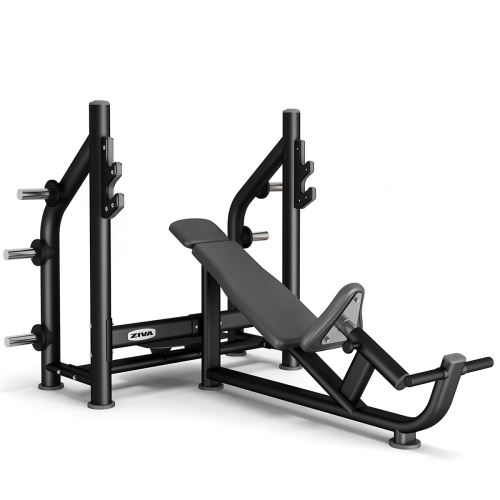 Nakloněná posilovací lavice bench press ZIVA se stojanem - stříbrná